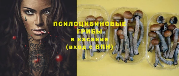 PSILOCYBIN Арсеньев