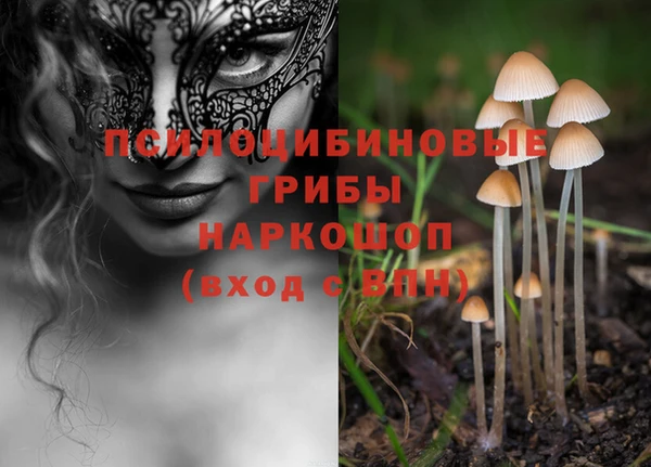 стаф Армянск