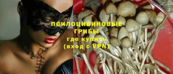 не бодяженный Аркадак